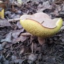 ���� �����, �����, 39 ��� - ��������� 29 ����� 2019 � ������ ���� ����������