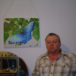 �������, ��������, 77 ���