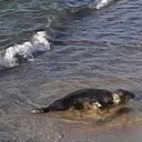 � ��� �� ���� ������ ����� ��������..... �� ������� ���� ����������