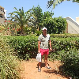 ����, �������, 43 ����