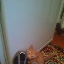 ���� ������, ����� - ��������� 20 ���� 2018 � ������ �1388���