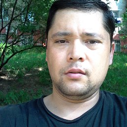 ����������, ������, 41 ���