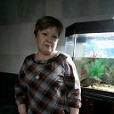 ���� �����, ���������, 66 ��� - ��������� 15 ����� 2019