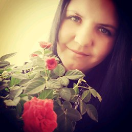 �����, ������, 37 ���