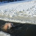 ���� Grigorii., �������, 78 ��� - ��������� 19 ������ 2019 � ������ ��������� � �������