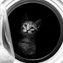 ���� ����, ������ �����, 50 ��� - ��������� 16 ������� 2018 � ������ ���� ����������