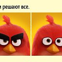 ���� ���������, �����������, 55 ��� - ��������� 8 ������ 2019 � ������ ���� ����������