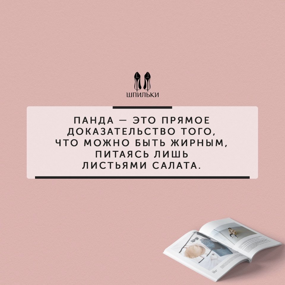  |   - 12  2019  03:37