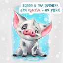 ���� ����, �����-���������, 55 ��� - ��������� 30 ������� 2018 � ������ ����������� ����������