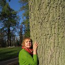 Ҹ���� ����� �� ������� ���� ����������