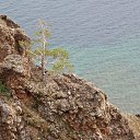  ,  -  19  2019    2018