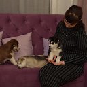  , , 38  -  14  2019      )))))