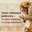���� ������, ����������� - ��������� 2 ������ 2018 � ������ ���� ����������