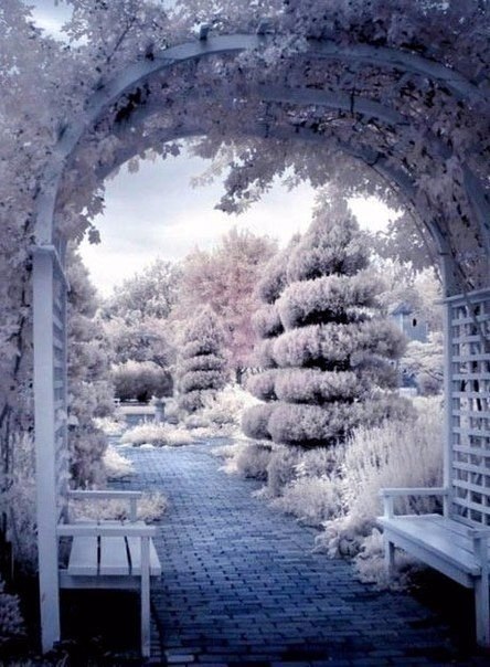  ))).     ,    腠   ... - 6