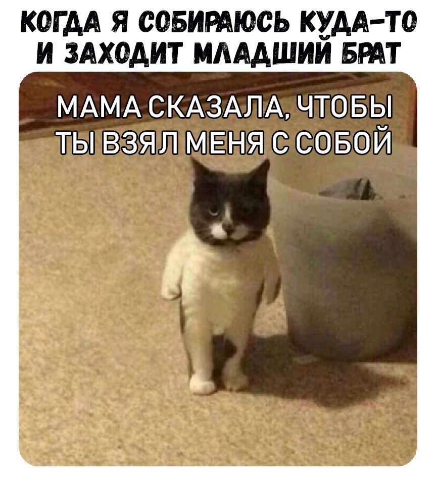 ������ �� ��� :D - 25 �������� 2018 � 16:48
