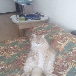 ���� ��������, ������, 65 ��� - ��������� 14 ������ 2018