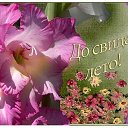 ���� �������, ������ - ��������� 31 ������� 2018 � ������ ������ ��������