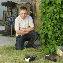 ������, �����������, 57 ���