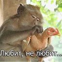���� Yuriy, ���������, 43 ���� - ��������� 13 ������ 2018 � ������ ���������