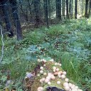 ���� ������, ������������ - ��������� 3 �������� 2018 � ������ ���� ����������