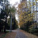 ���� �����, ������, 39 ��� - ��������� 14 ������� 2018 � ������ ���� ����������