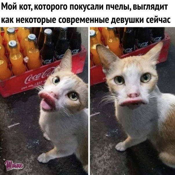   - 19  2019  14:53