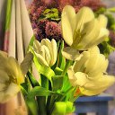 ���� �����, ������, 57 ��� - ��������� 29 ������� 2018 � ������ ���� ����������