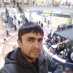 Daler, 33 , -
