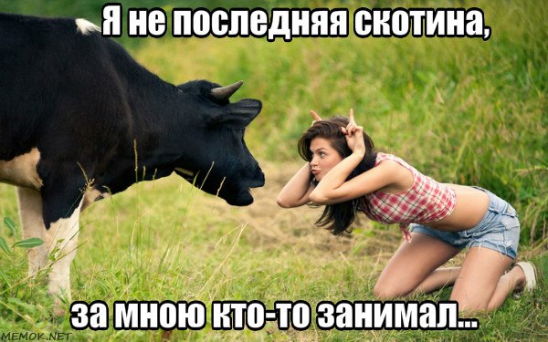 ���� �������� - 15 ���� 2018 � 13:56
