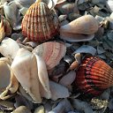 ������� �� ������� �����