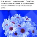 ���� ��������, �����, 51 ��� - ��������� 3 ������ 2019 � ������ ������ ��������
