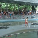 ���� �������, ���������, 53 ���� - ��������� 27 ������� 2018 � ������ ����������� �������.�
