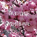 ���� �������, ������, 74 ���� - ��������� 21 ������ 2018 � ������ ���� ����������