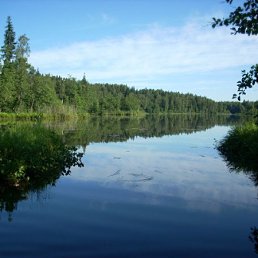 ���, �����-���������