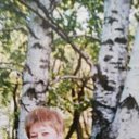  , -, 61  -  16  2019    