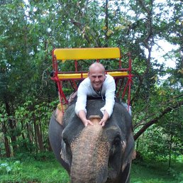   ............., , 48  -  7  2018