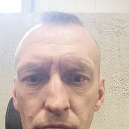 �����, ������, 54 ����