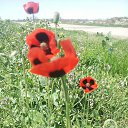 ���� ������, ������, 55 ��� - ��������� 16 ����� 2019