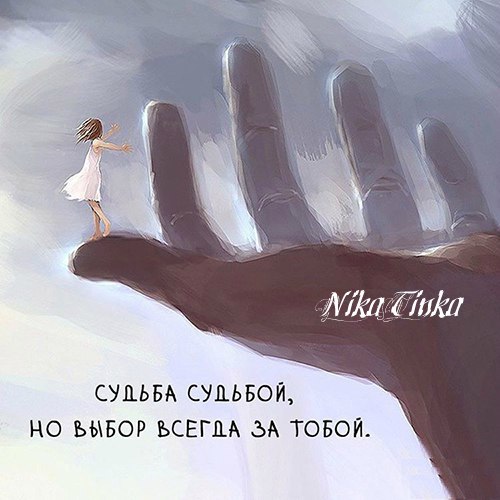 NikaTinka - 13  2018  14:32