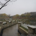 ���� �������, �����-��������� - ��������� 1 ������� 2019 � ������ ���� ����������