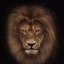 ���� ����� �� �� ����, �������� - ��������� 21 ����� 2019 � ������ ������ ��������