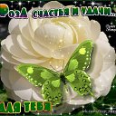 ���� �������, ���������� - ��������� 7 ������� 2019 � ������ ������ ��������