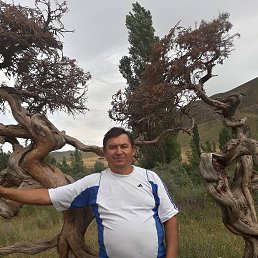 �����, ������, 63 ����