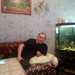 ���� ������, ������, 44 ���� - ��������� 24 ������� 2018