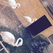Alena, 29 ���, �����