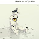 ���� Vasil, ������������, 41 ��� - ��������� 12 ����� 2019