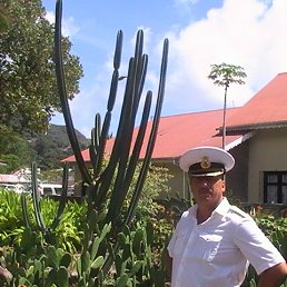 ��������, �����������, 55 ���