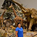 ���� �������, ������, 64 ���� - ��������� 14 ������ 2019 � ������ ���� ����������