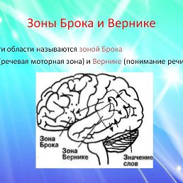 ������, ������, 48 ���