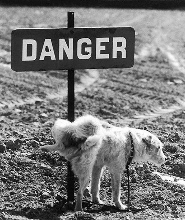 ������� - ������� ������ - 6